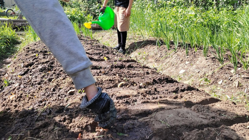    фото из архива редакции