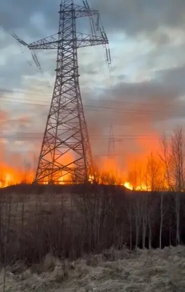    Фото: скриншот видео из группы ВК «Транспортный КОЛЛАПС, Красное Село»