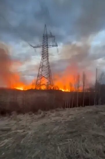    Фото: скриншот видео из группы ВК «Транспортный КОЛЛАПС, Красное Село»
