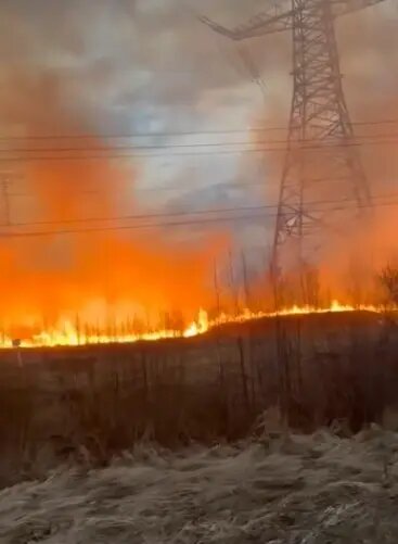    Фото: скриншот видео из группы ВК «Транспортный КОЛЛАПС, Красное Село»