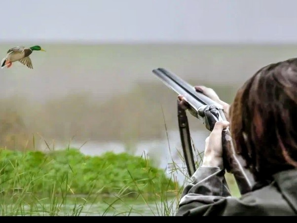 Охота на селезня весной: урок от деревенского охотника для городского новичка.