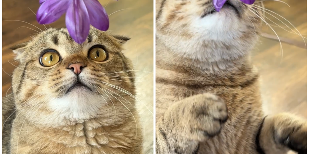 Кто-то познает мир! А кому-то этот мир абсолютно понятен😅