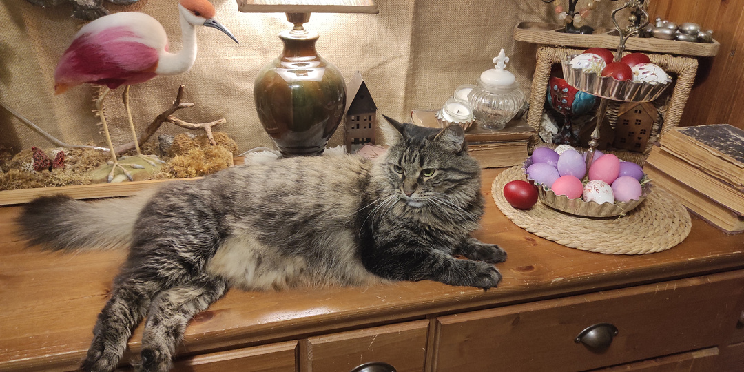 12 апреля. С ПРАЗДНИКОМ СВЕТЛОЙ ПАСХИ!