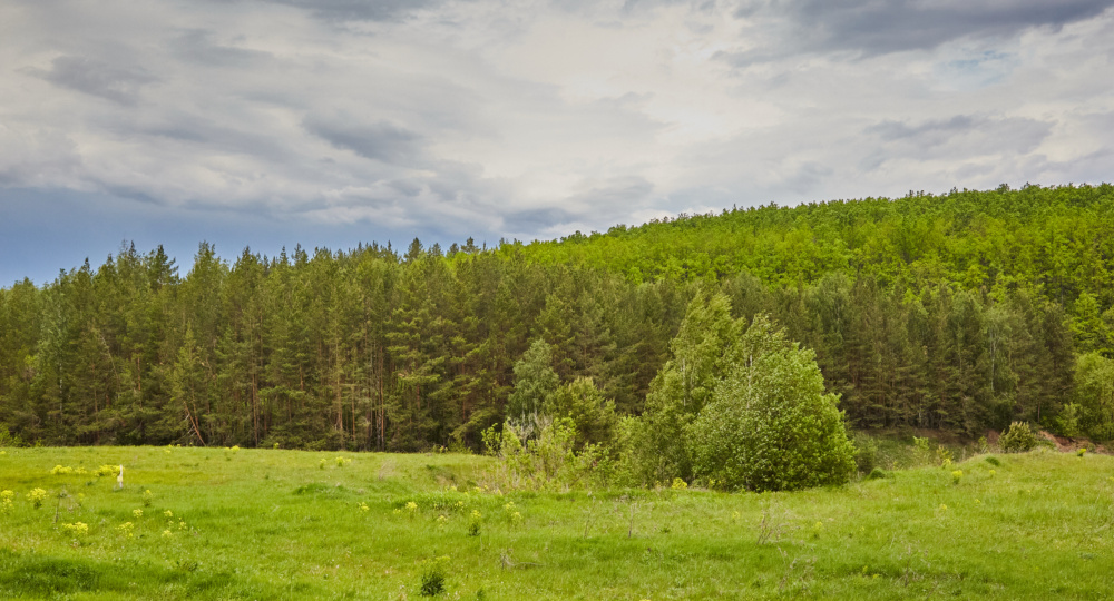 Журналист. Дорога к горе.