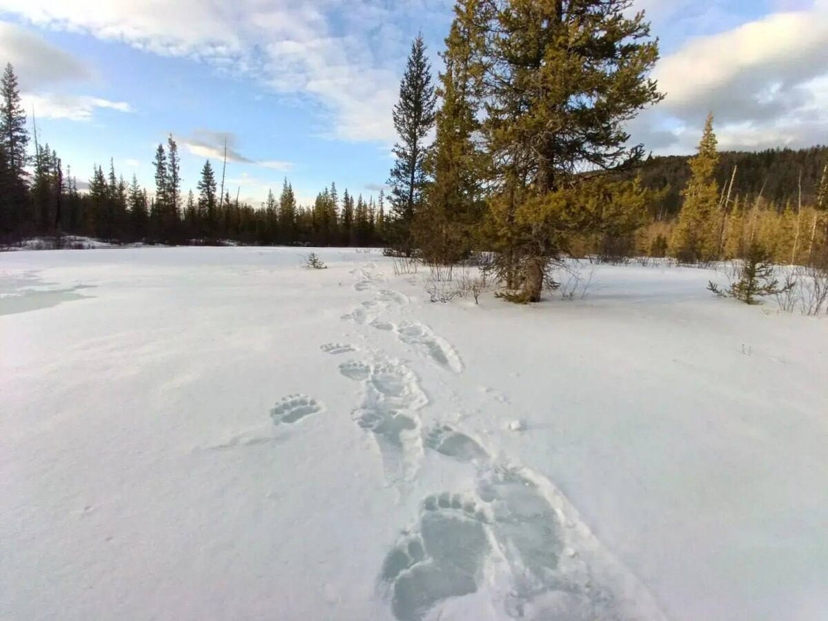 📷: Александр Бузинов