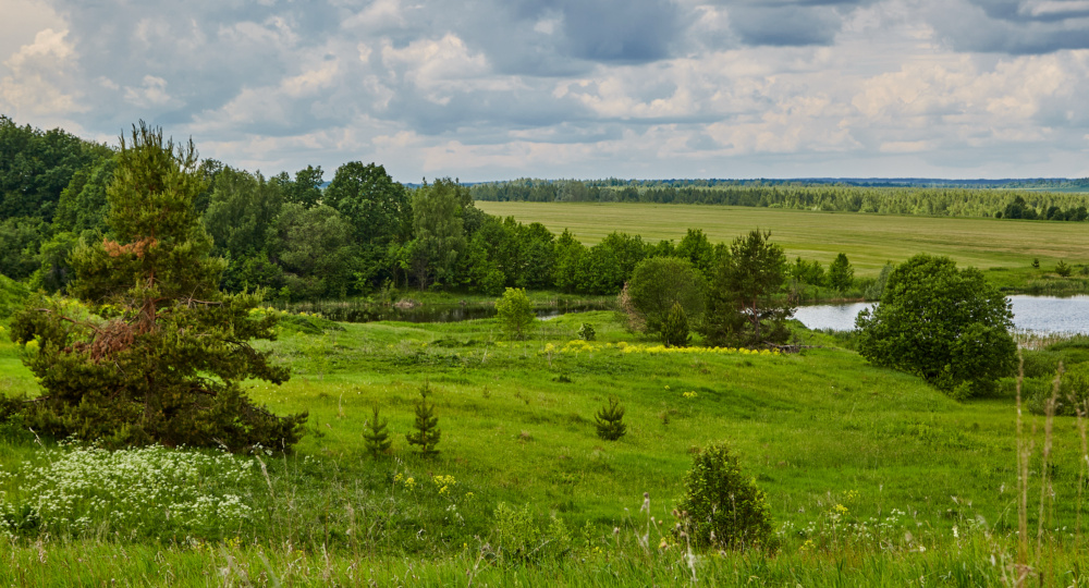 Журналист. Священная гора.