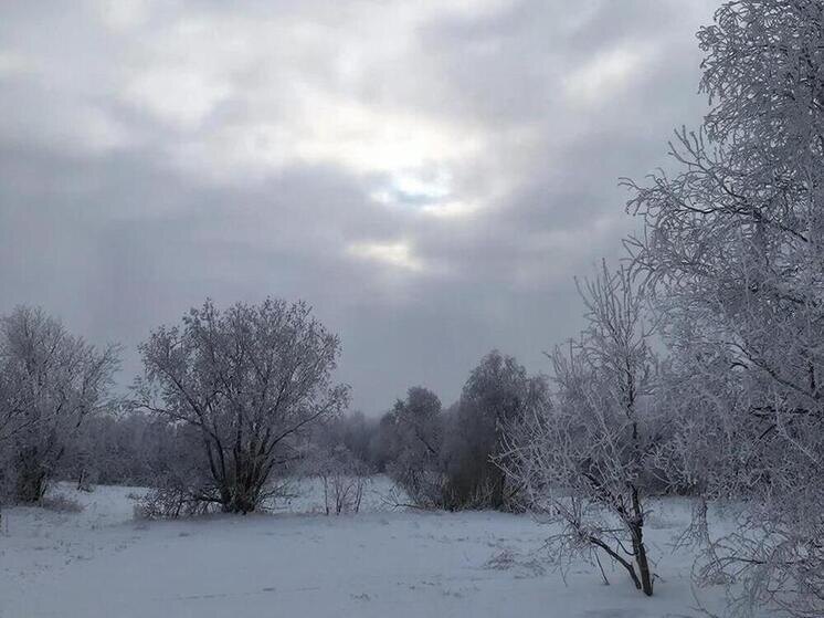     Фото сгенерировано ИИ