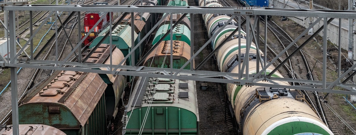    Автор фото: Мартьян Фролов/"ДП"