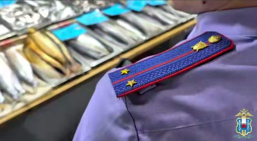    Скрин с видео ГУ МВД России по РО. Газета "Земля"