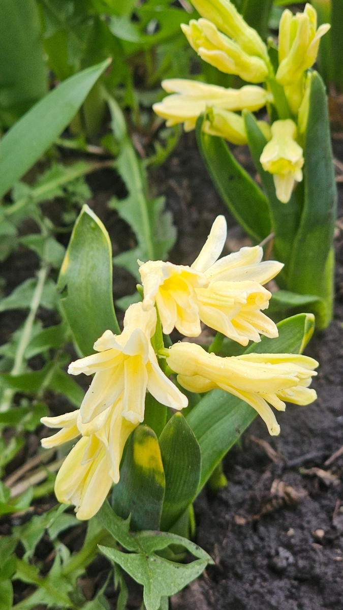 Кто то играет, кем то играют..как это часто не совпадает)  за искаженным следуют тени*...и привыкают к несовпаденьям).. 

Ах, ведали б все как все устроено..и как часто люди собою считают то, что ими не является, ровно как и суть, факты воспринимают искаженно..и реагируют, и воюют, ищут, теряют, добиваются, утверждают, защищают, ....и даже не в воплощениях начало всему...а до...в самом начале своей сути...в глубинах и фрагментах...

Чтобы целостность себе вернуть, иного фрагментов надо перевернуть*...ракурсами истины...

И начать таки жить всё и вся в теплом потоке любви и добра, настоящести открытой, чистой, ясной...неповторимо прекрасной...