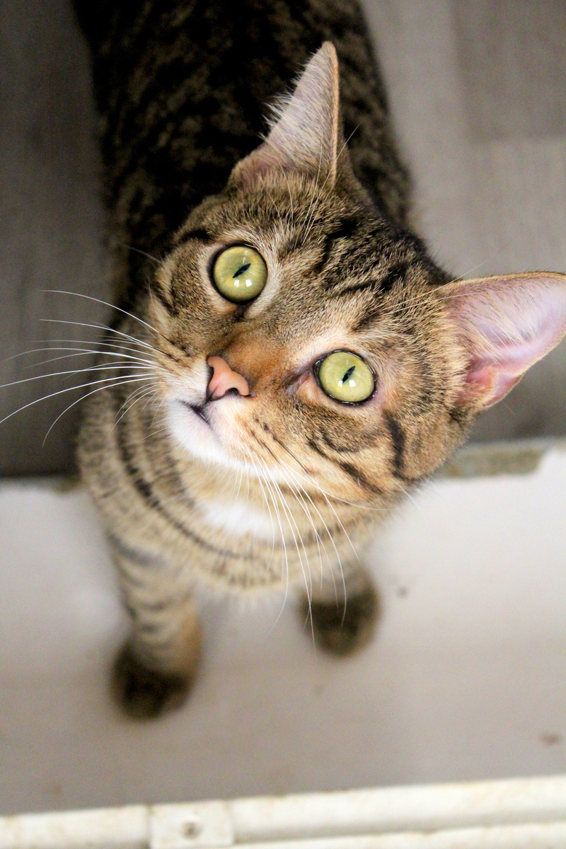 А так можно было?