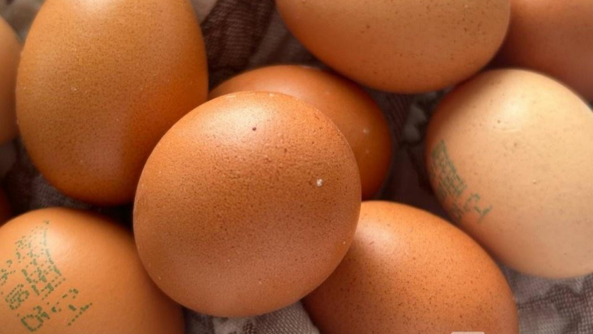    Фото с сайта vgoroden.ru с сайта ib.vgoroden.ru