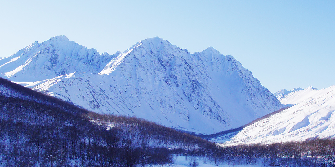 Как я медведя пугал