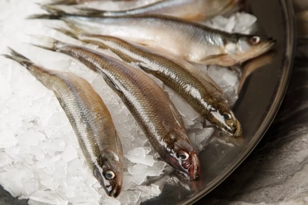    В Калининградской области резко подорожала корюшка