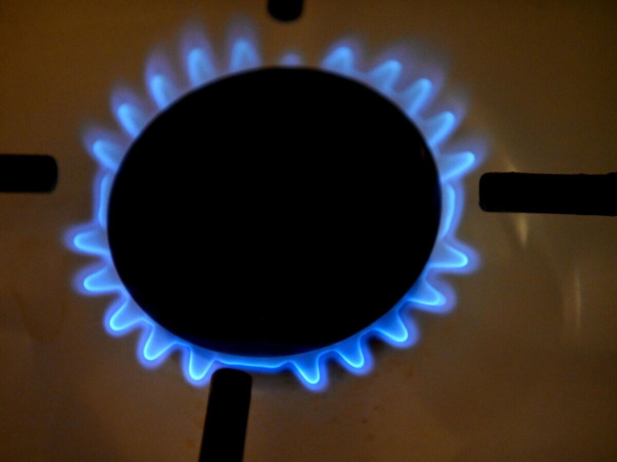    Включенная газовая конфорка. | © РИА Новости / Владимир Федоренко