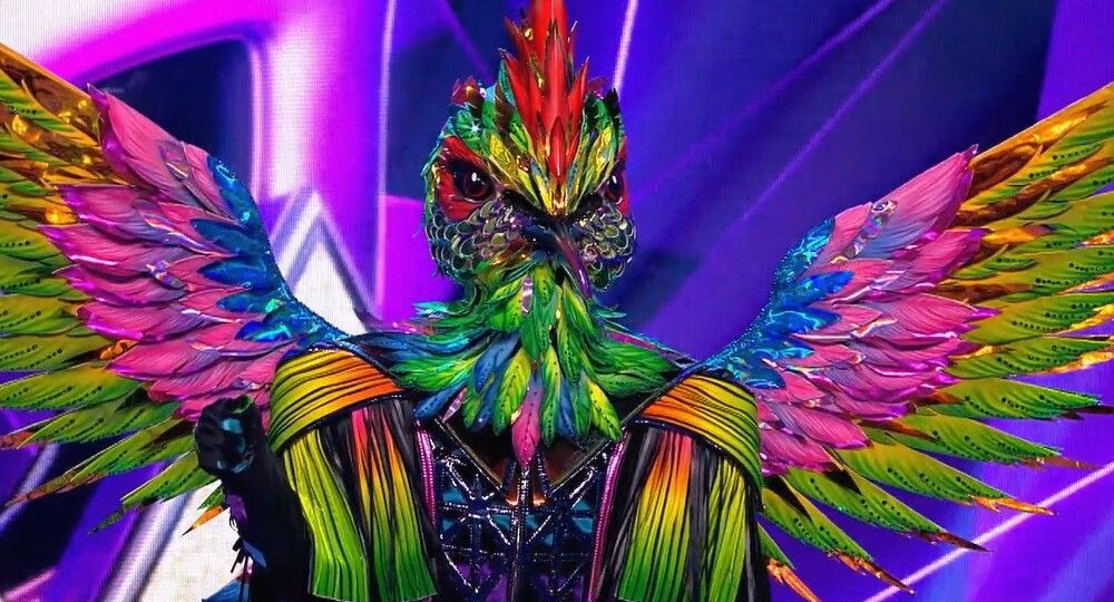 Члены жюри разоблачили участницу в костюме Колибри в шоу «Маска»