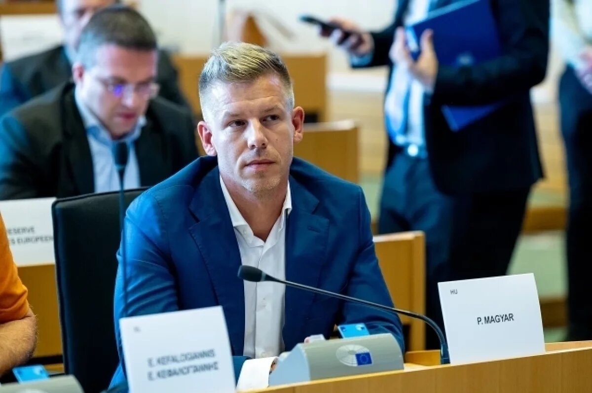    Противник Орбана на выборах в Венгрии Мадьяр выступил с заявлением о РФ