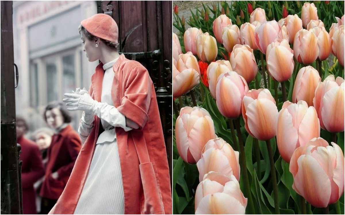 2. Jean Patchett in Christian Dior's jacket and hat, Paris, 1950. Photo Norman Parkinson.