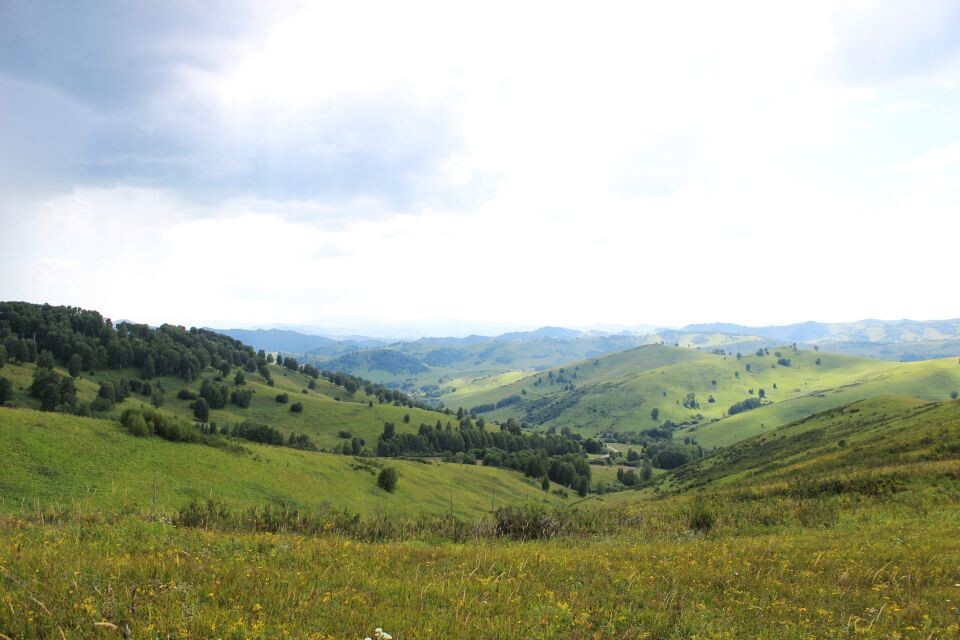   Солонешенский район, недалеко от села Большая Тихая. Источник: Евгения Кочеткова/"Толк"