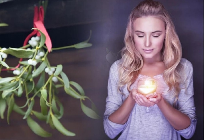 ветка омела