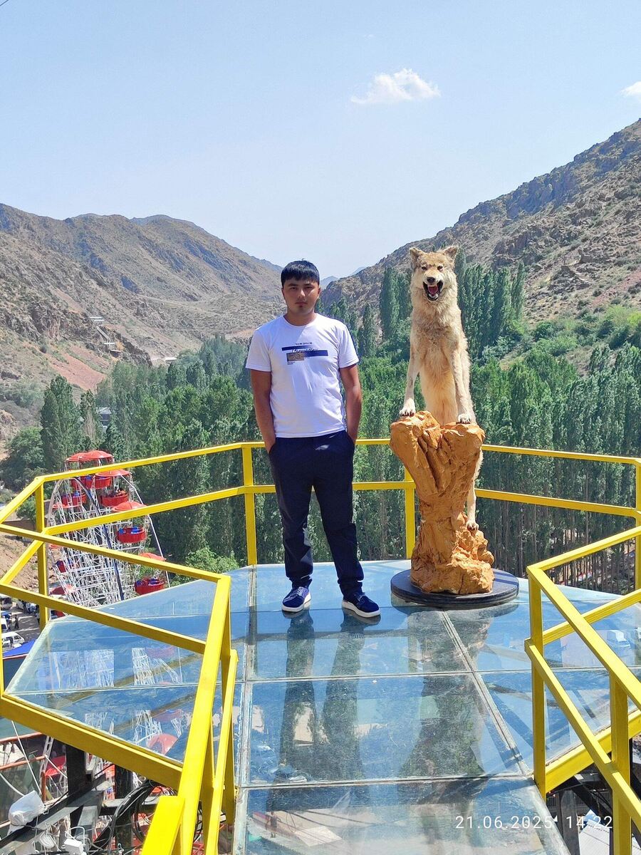 Говорят, не каждый может встретить свою судьбу…

Но если бы кто-то смог, он бы уже никогда не был прежним.
В забытых землях, где ветер шептал древние тайны, а горы помнили следы веков, жил мальчик с сильным сердцем. Он шел своим путем в одиночестве, не боясь тьмы и одиночества.
И однажды… он встретил Его.
На вершине скалы, словно страж границы между мирами, стоял волк.
Его звали Волк.
Его глаза горели огнем, и в их глубине скрывалась сила природы. Это было не просто животное… это был дух. Дух леса. Дух верности.
В тот момент время словно остановилось.
Все остальные убежали бы. Все остальные испугались.
Но не он.
Он сделал шаг вперед.
И волк не напал…
Он принял ее.
С того дня началась незабываемая история.
Говорят, что когда приближалась опасность, появлялся Волк. Его шаги были бесшумны, но сила его была безгранична. Он защищал своего друга от всего, что исходило из тьмы.

Они шли вместе сквозь испытания, страхи и время.

Человек и волк. Две судьбы, один путь.

Люди пытались понять, но не могли…

Как дикое животное может доверять человеку?

Как человек может идти рядом с волком без страха?

Ответ был прост… но не очевиден для всех.

Это было больше, чем просто дружба.

Это была связь, выкованная самой судьбой.

Говорят, что даже сейчас… в тишине леса…

можно услышать шаги.

Если ваше сердце чисто, вы увидите их.

Человек и волк стоят рядом.

И тогда вы поймете…