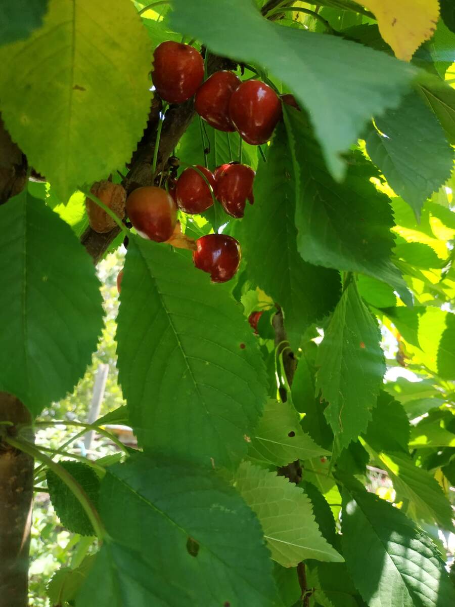 Фото автора для иллюстрации