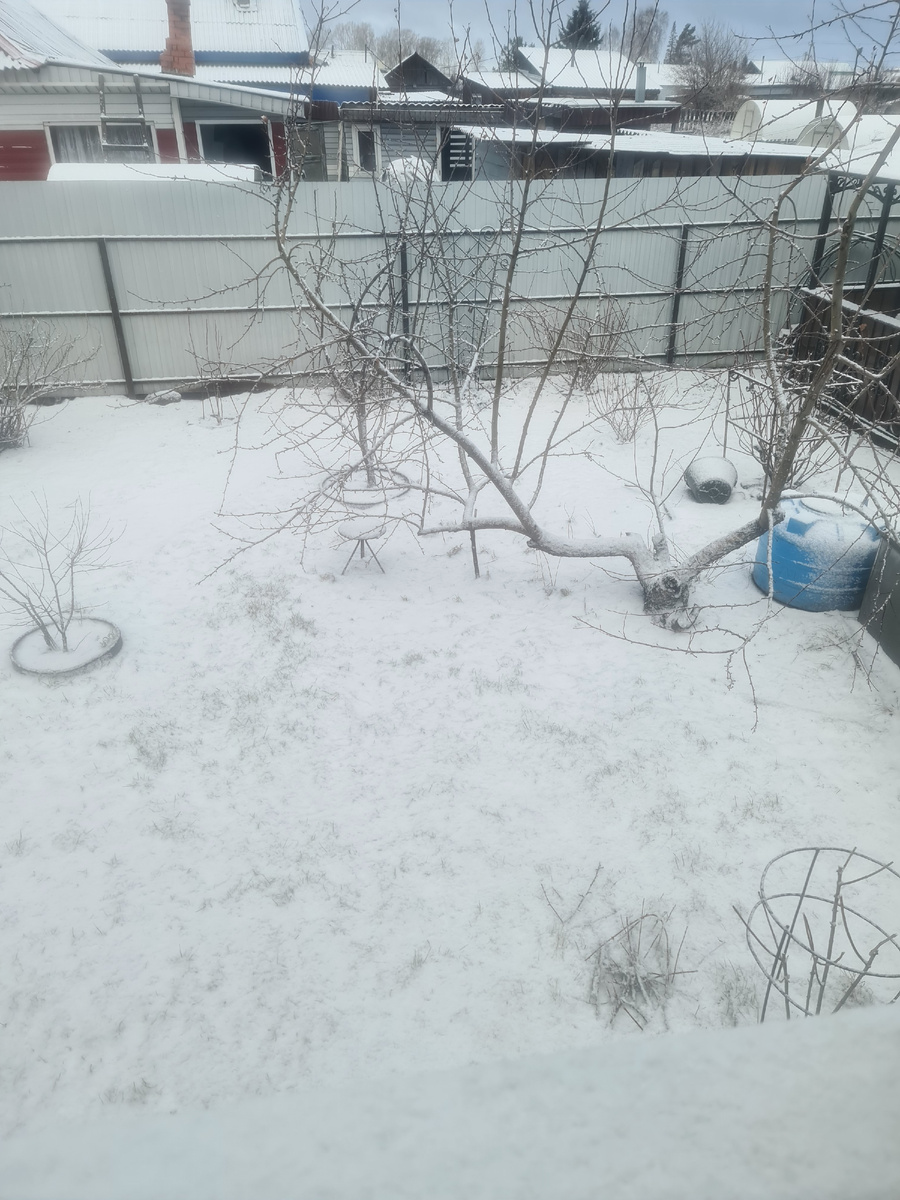 Вид из окна спальни