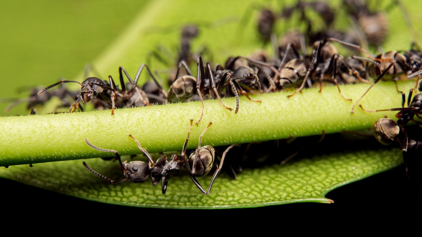    фото freepik.com