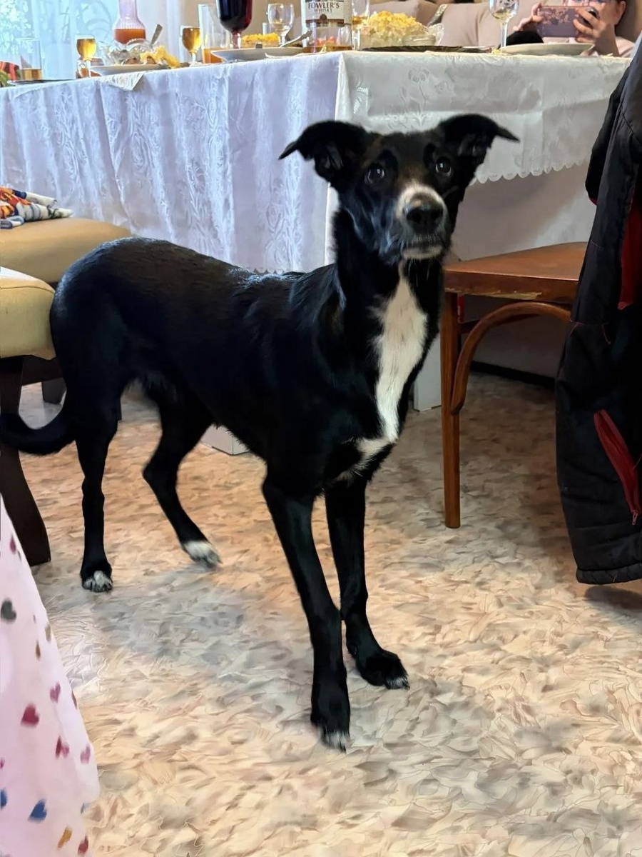 у мамы Алёны ДР, надо успеть сделать фото на красивом фоне))) 