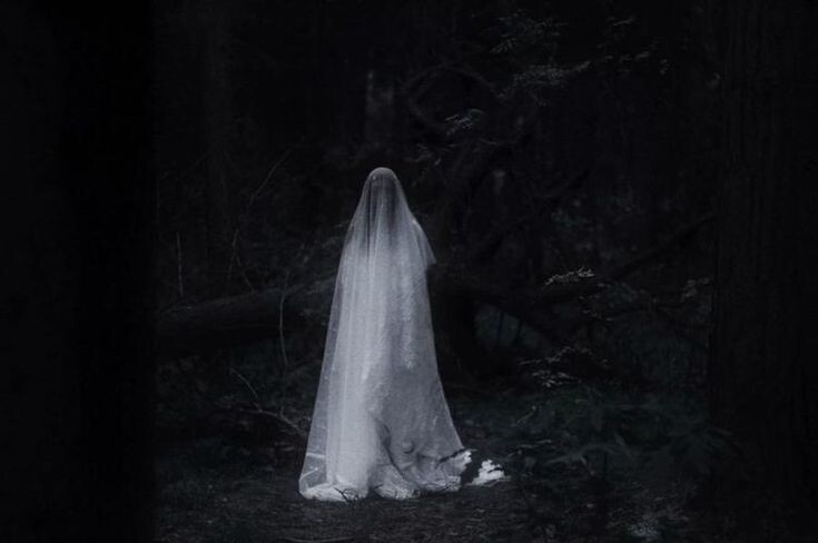 Мистическая история: Примета