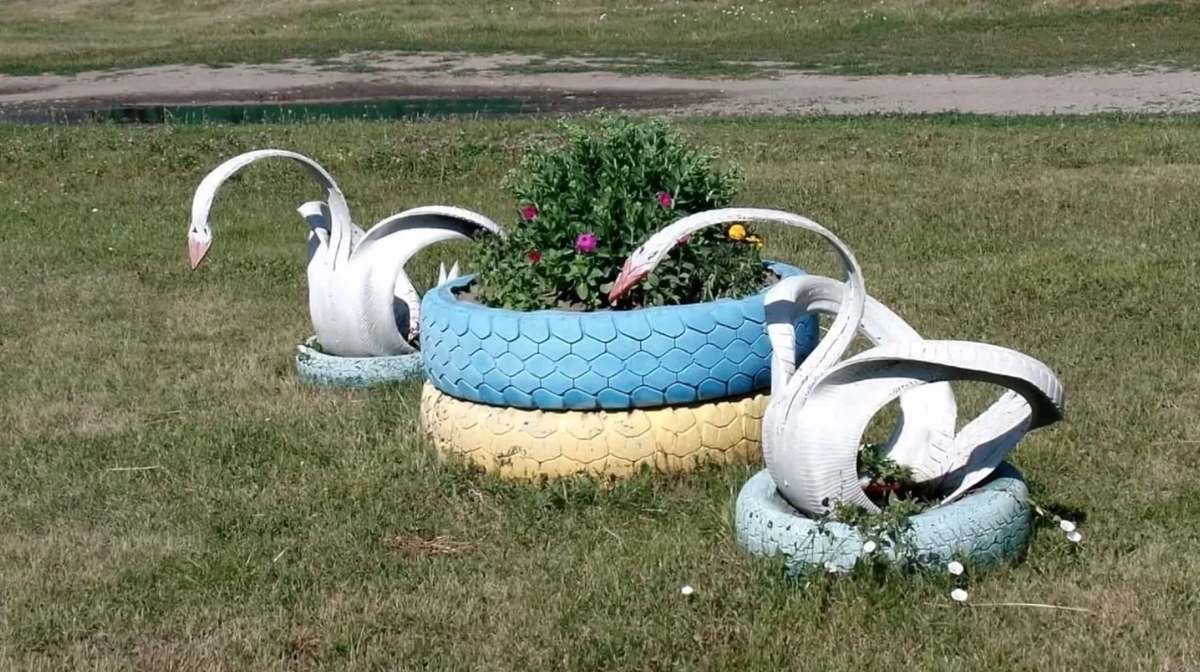 фото из открытых источников