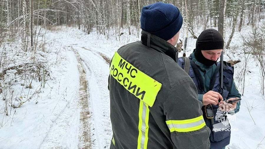     / Источник: © ГУ МЧС России по Красноярскому краю