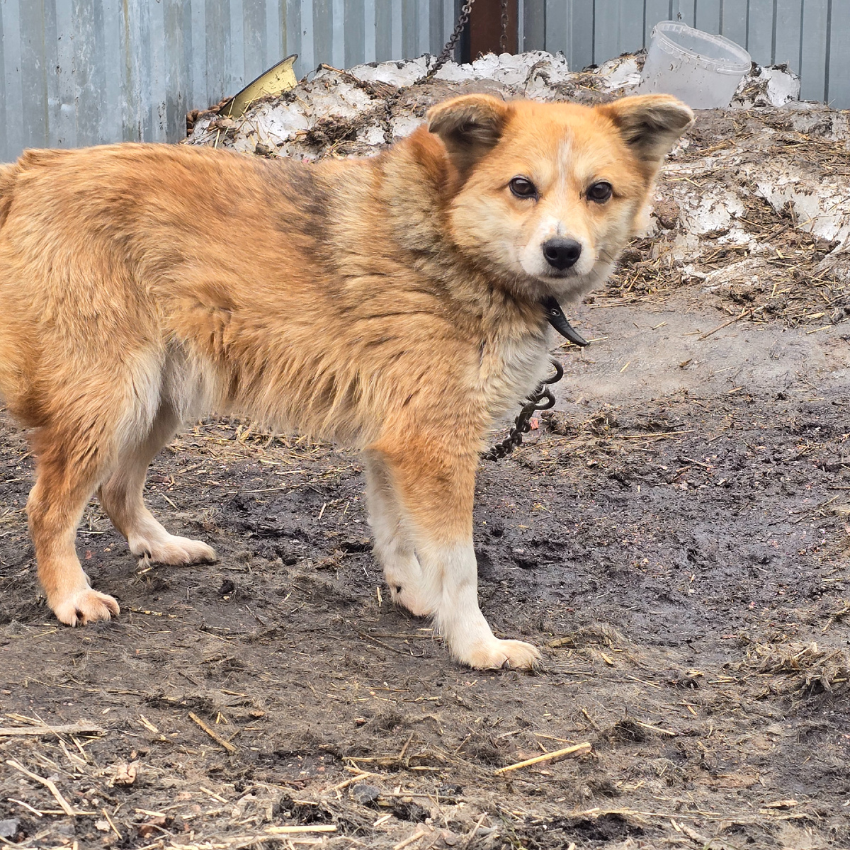 не всё растаяло, но грязи уже и на льду хватает