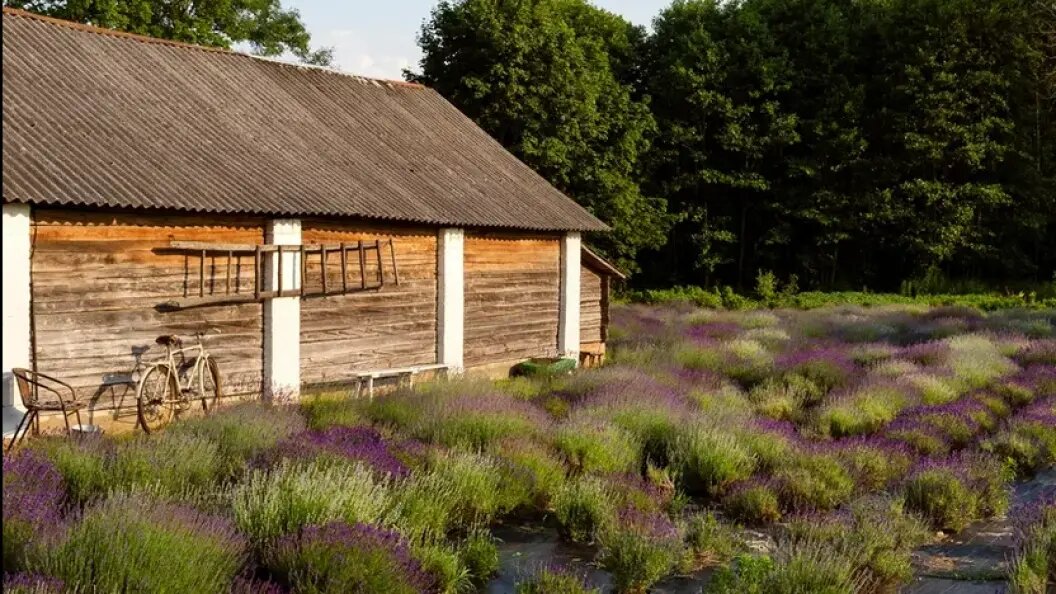    Фото: Freepik.com