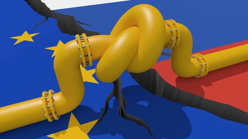    Фото: YAKOBCHUK V/Shutterstock/Fotodom