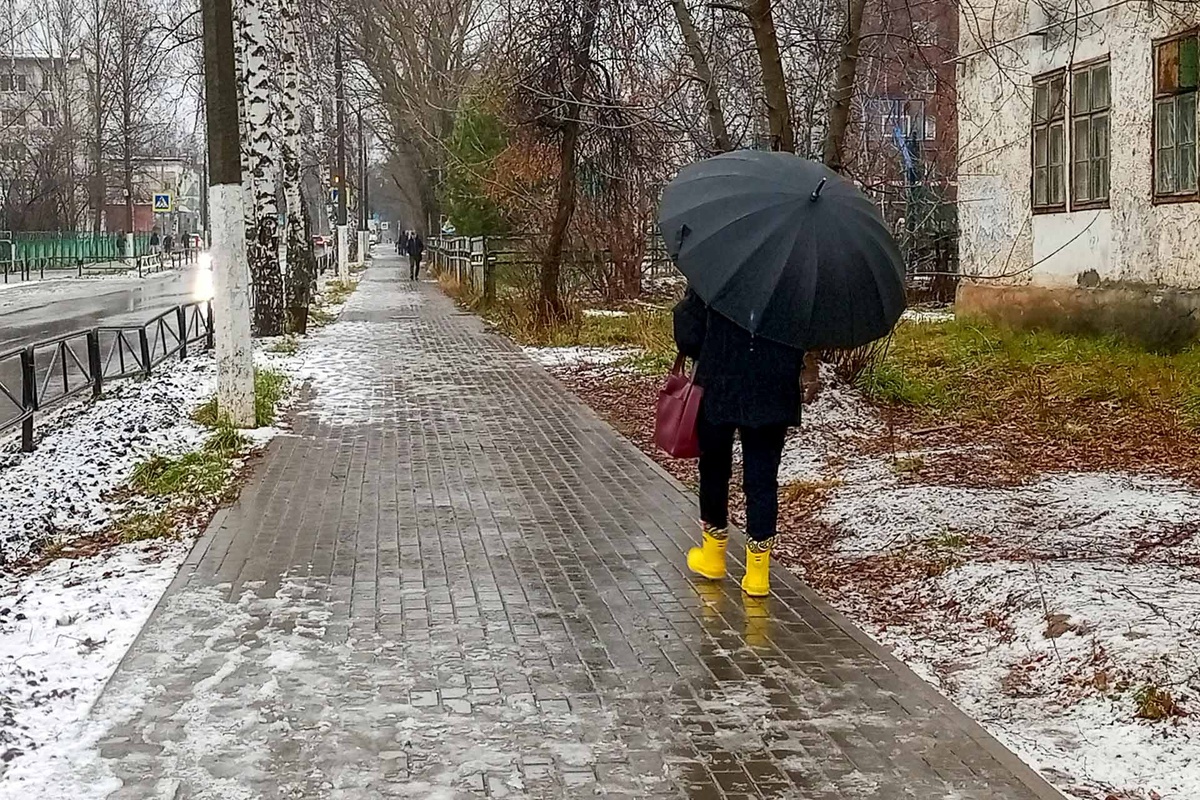 Ожидаются осадки в виде мокрого снега, которые днем сменятся дождем.  Фото: ФедералПресс / Маргарита Неклюдова