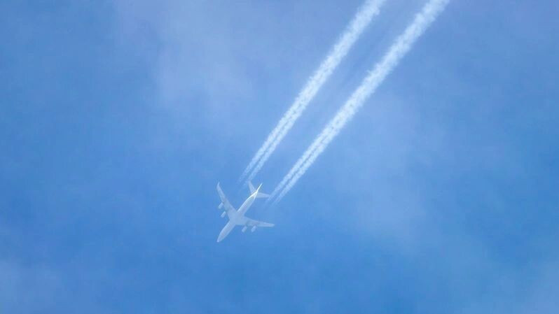    Фото: Федор Воронов/«Ямал-Медиа»