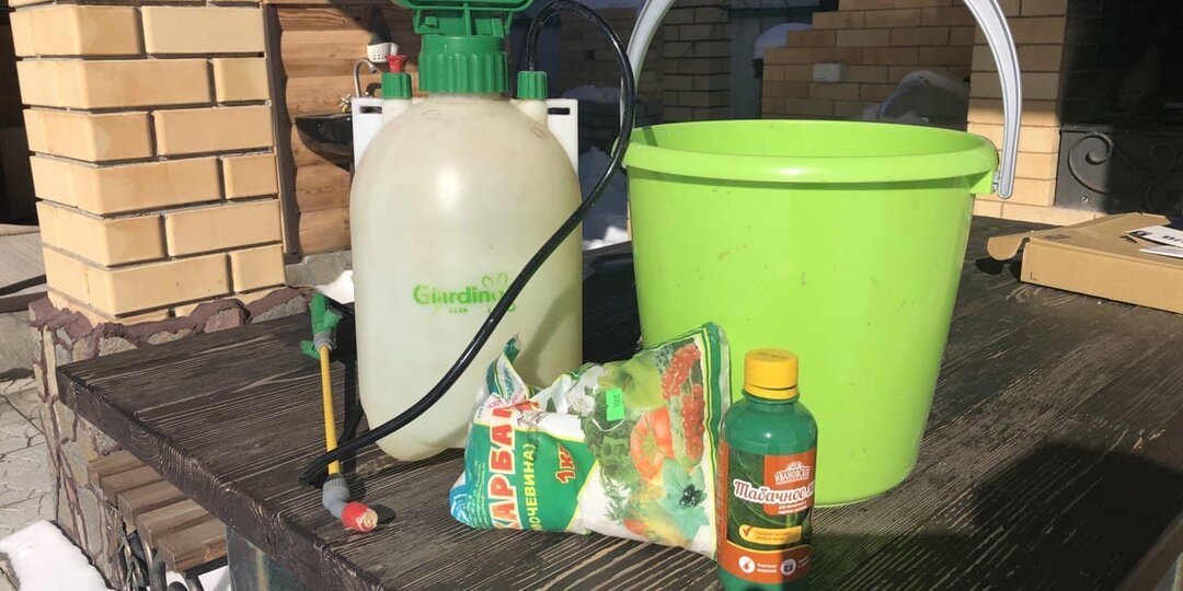 Блокнот удобрений. Карбамид или мочевина: как вносить для повышения эффективности