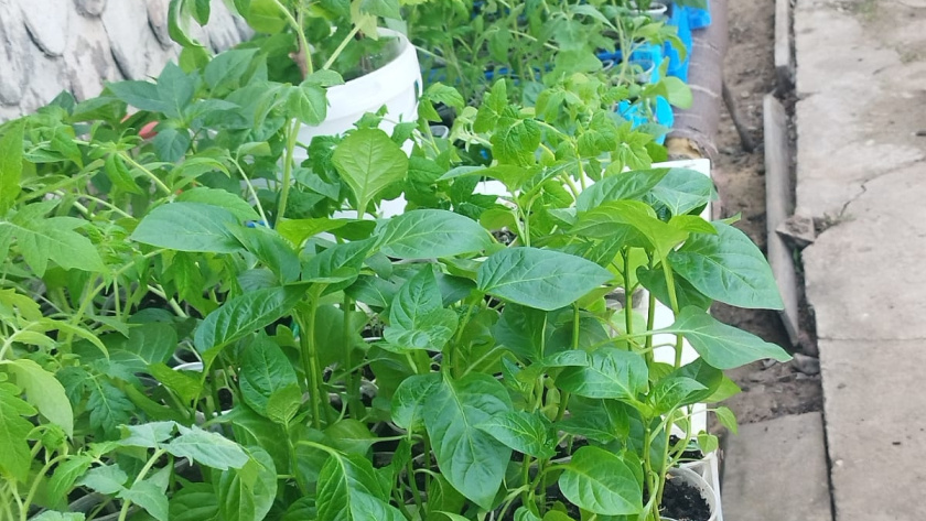    фото smilekaluga.ru