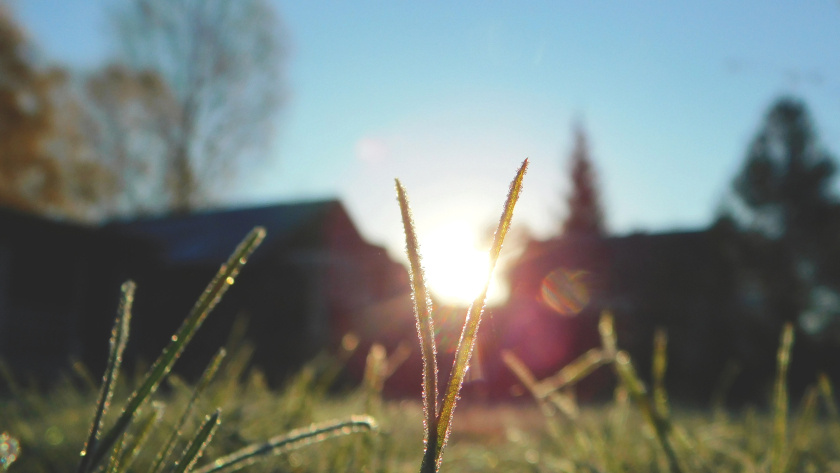   автор фото Вячеслав Вольгин