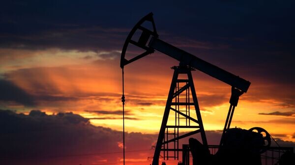    © Sputnik / Максим Богодвид