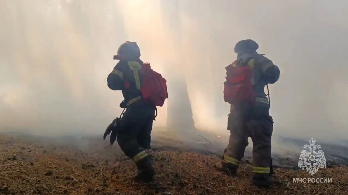    Фото: Пресс-служба ГУ МЧС России по Забайкальскому краю