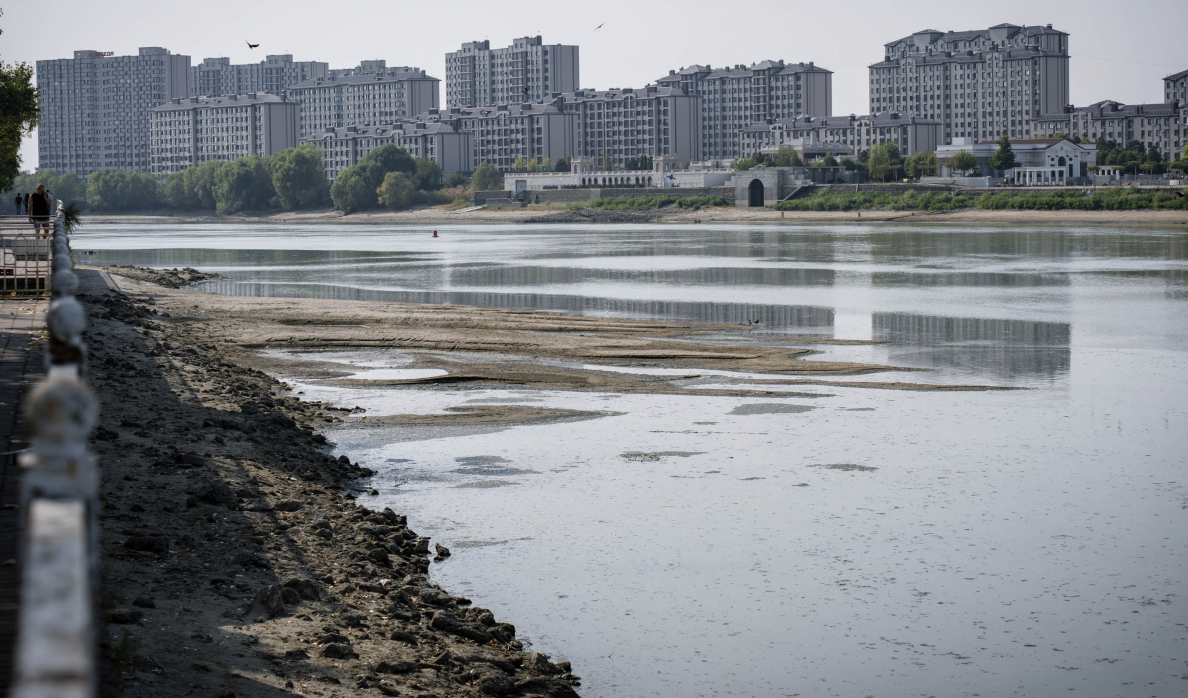 📷 bloknot-krasnodar.ru