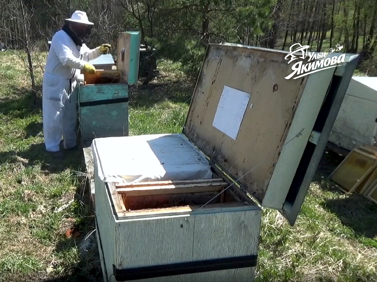 Пасека Андрея Якимова