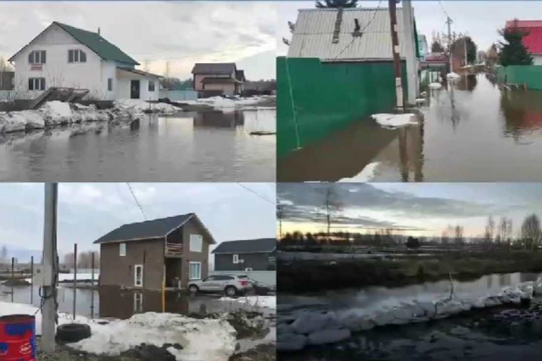    Фото: МЧС НСО