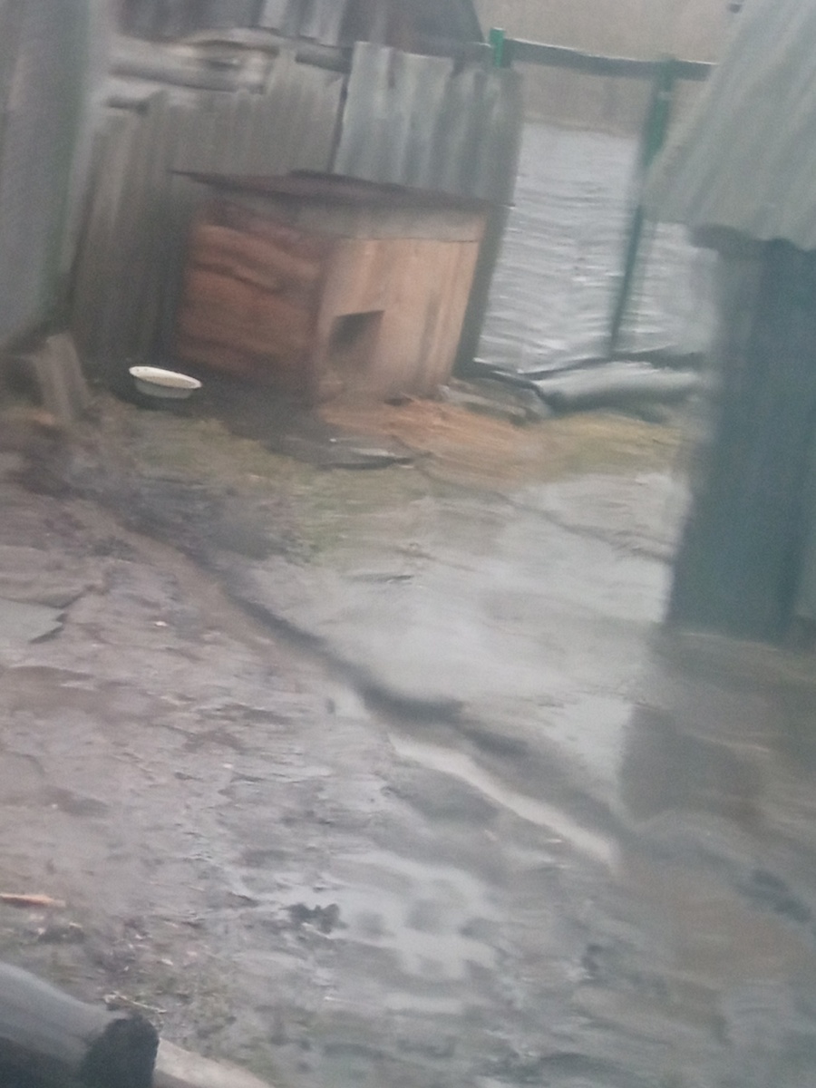 Ливни с грозами