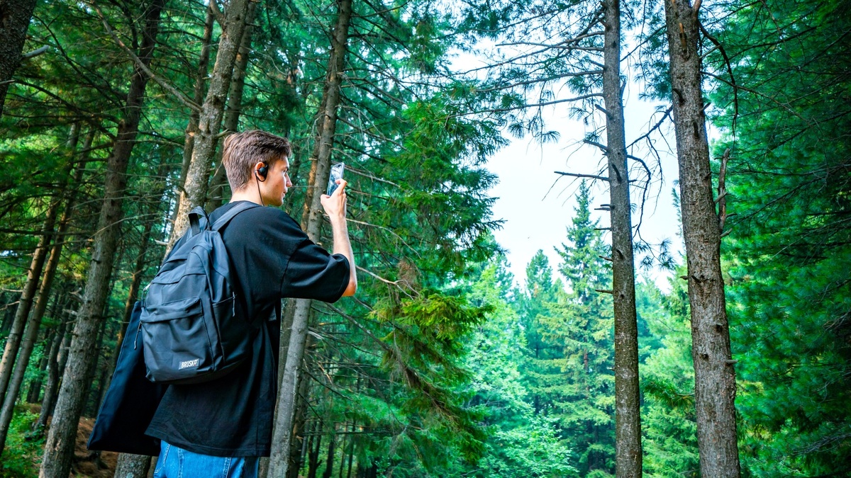    Югорчан приглашают присоединиться к конкурсу «Зелёный уголок 2026»