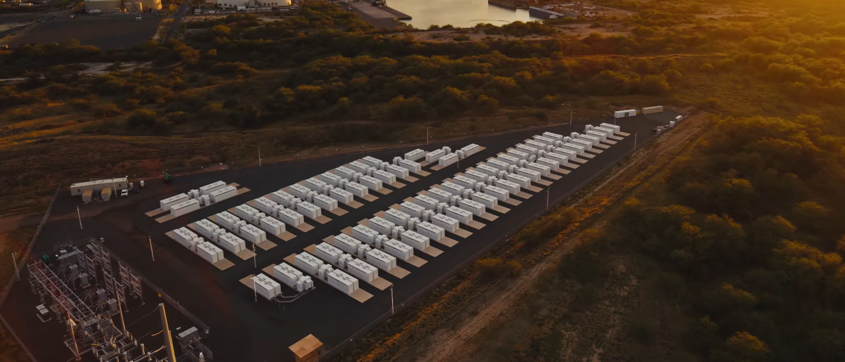 Фото Tesla  📷
