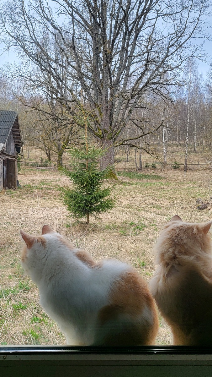 Подготовимся❓❗ 