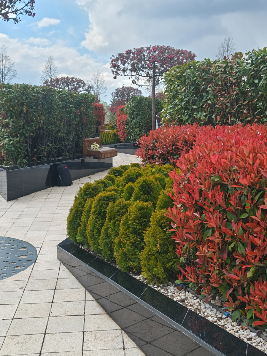 все фото автора